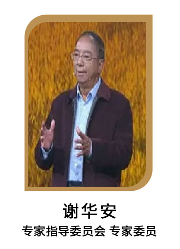 xiehuaan.jpg